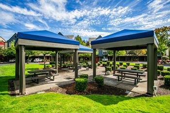 The colonnade apartments bbq/picnic area